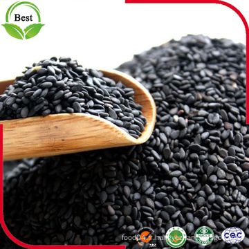 Grossiste Raw Black Sesame Seeds